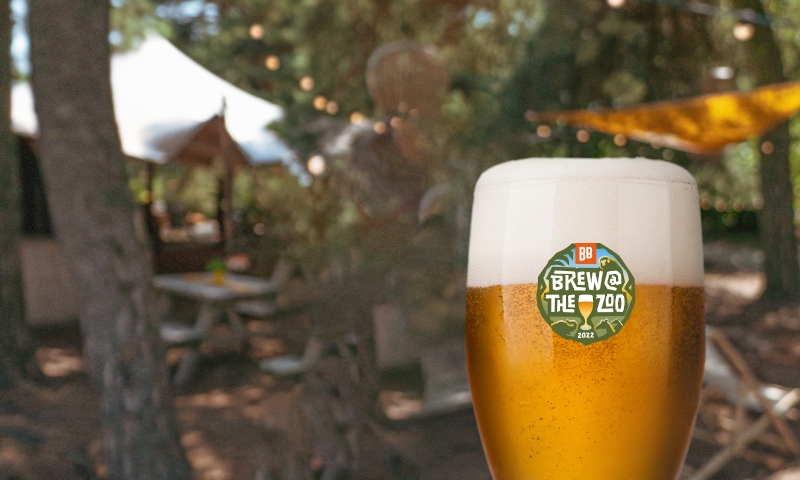 Brew at the zoo speciaalbierfestival